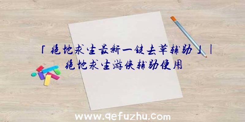 「绝地求生最新一键去草辅助」|绝地求生游侠辅助使用